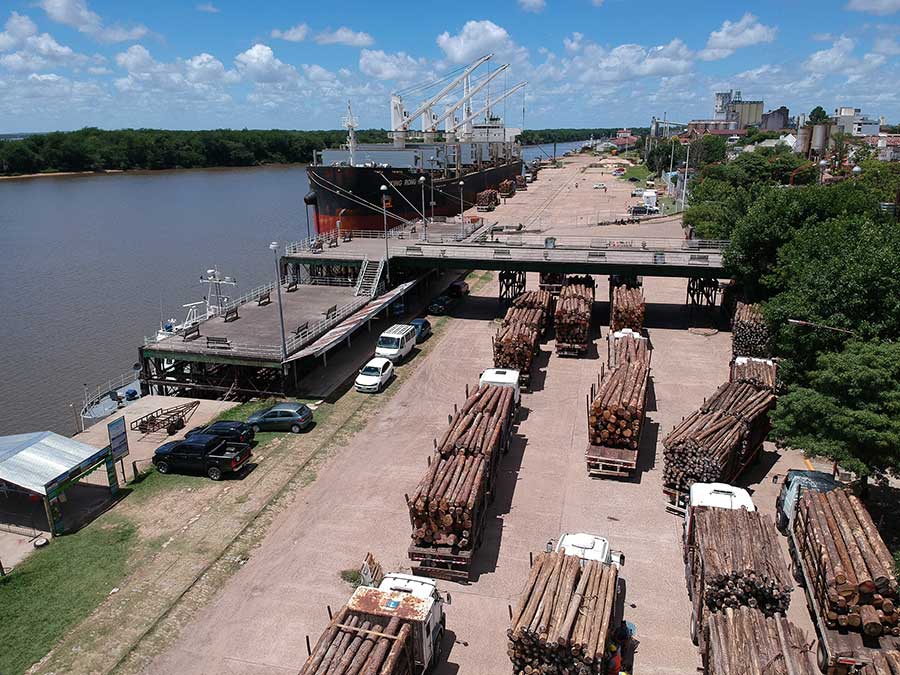 Los puertos de Entre Ríos cierran enero con intensa actividad - Ser  Industria