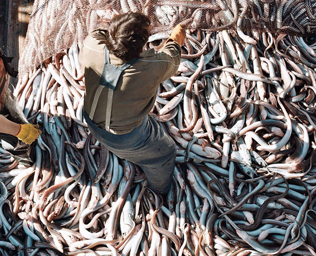 Las modificaciones a la Ley de Pesca ponen en riesgo miles de puestos de trabajo.
